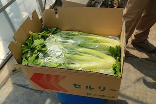 c158A9860.jpg